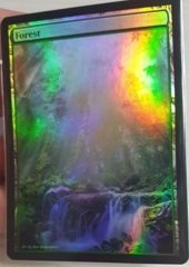 Forest #24 Foil Extended